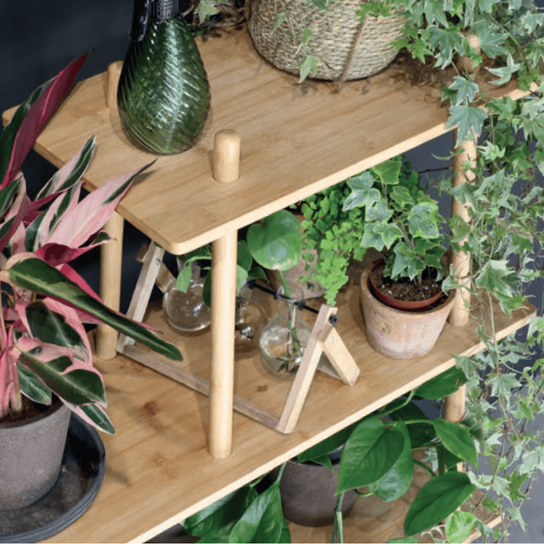 Natural Bamboo Shelving Unit ?C 3-Tier Display Rack - Image 2